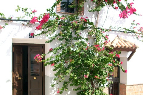 Wohnung in Jimena de la Frontera