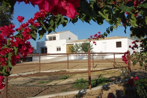 Traumhafte Villa mit Pferdeställen, Pool und wunderschönem Garten