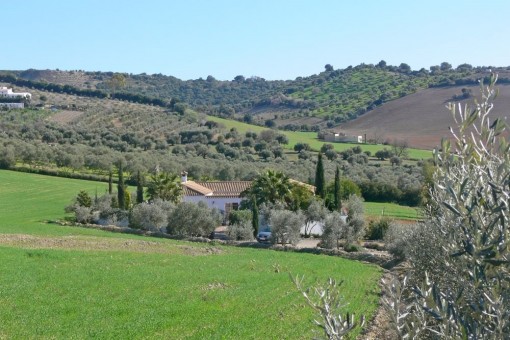 Großzügige Pferdefinca in Arcos de la Frontera, Cádiz