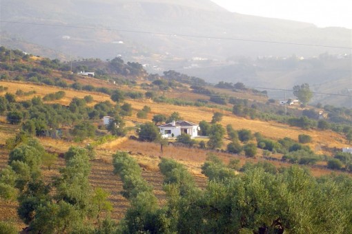 Finca mit herrlichem Blick auf die Landschaft und Berge in Tolox