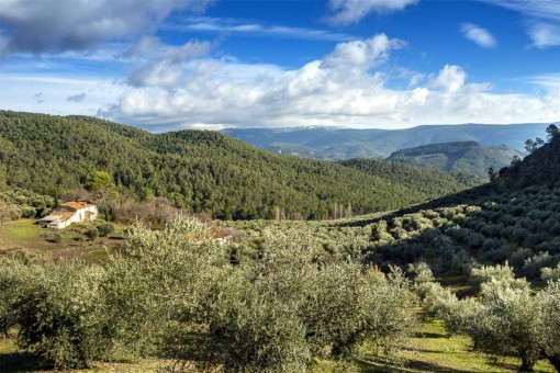 Allein stehende Finca mit riesigem Grundstück in Siles, Jaén