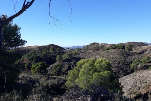 Baugrundstück mit herrlichem Meer- und Bergblick in Mijas